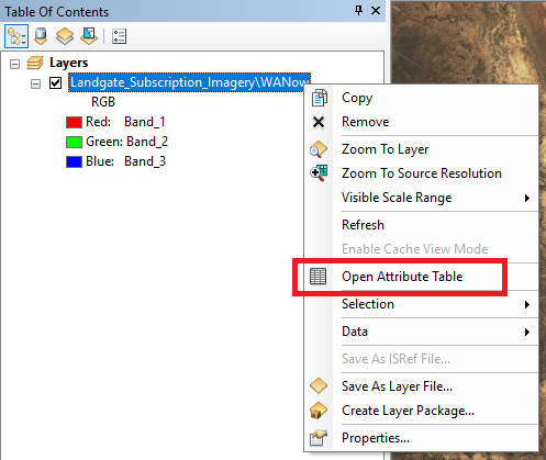 A screenshot of ArcMap, showing the right-click menu of an active layer.