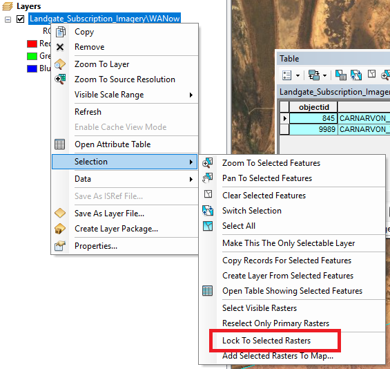 A screenshot of ArcMap, showing the right-click menu of an active layer, including the Selection sub-menu.